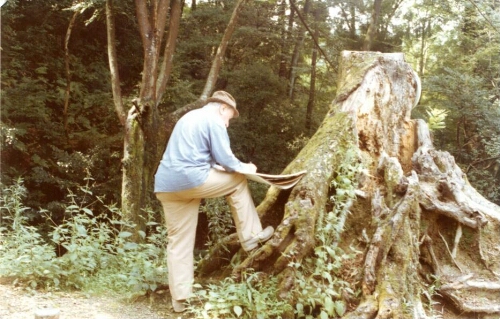 Esquisse d'un tronc d'arbre par Jules Cavaillès lors de son voyage au Japon en 1976.
